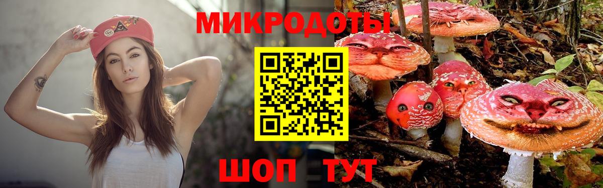 Псилоцибиновые грибы Psilocybine cubensis  Вход с VPN  Сердобск 